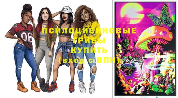 прущий лед Алзамай