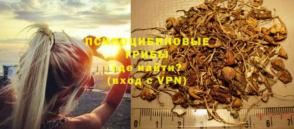 спиды Алексин