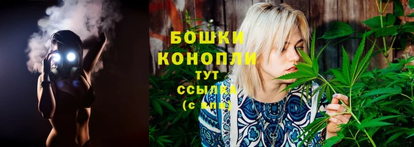 2c-b Инта