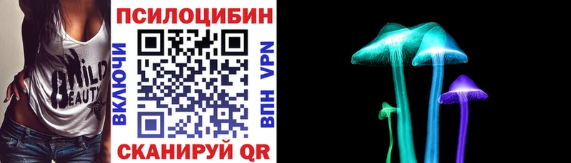 наркотики  Медынь  Псилоцибиновые грибы Psilocybine cubensis 